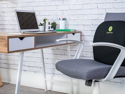 Ergotron LX Monitor Arm