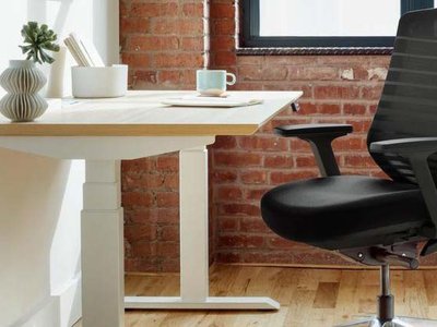 Branch Ergonomic Chair